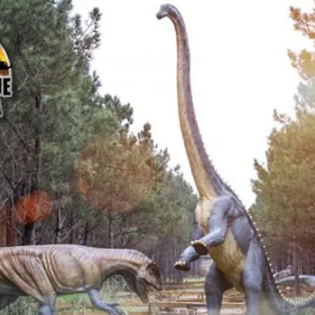 Casa Santa Rita فيلة