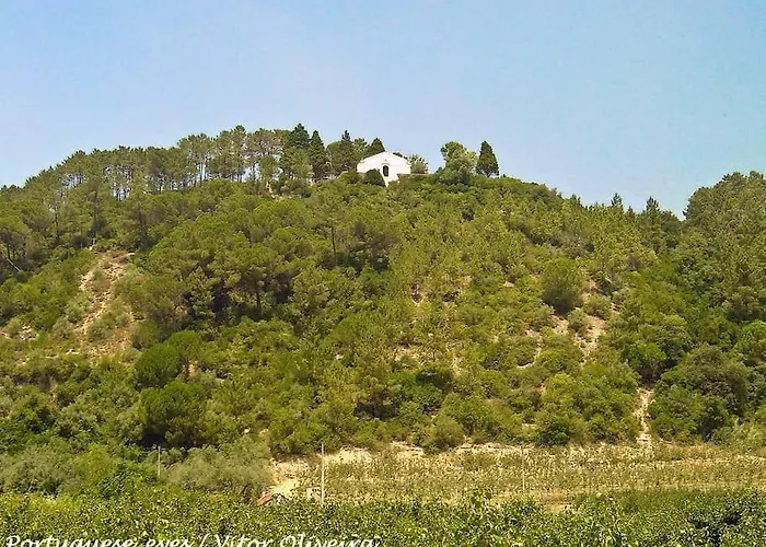 فيلة Casa Santa Rita